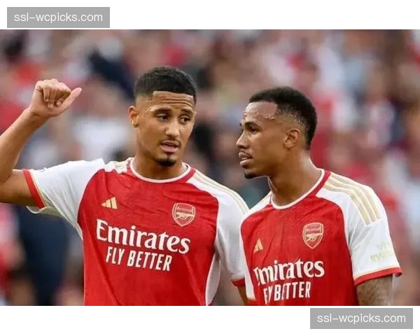 阿森纳双中卫组合成熟，萨利巴场均2.5次拦截加布里埃尔争顶成功率78%